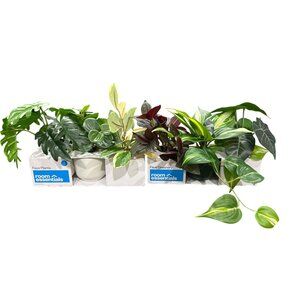 Room Essentials 3-Pack Faux Plants & Faux Greenery 2pcs. Home Or Office Decor